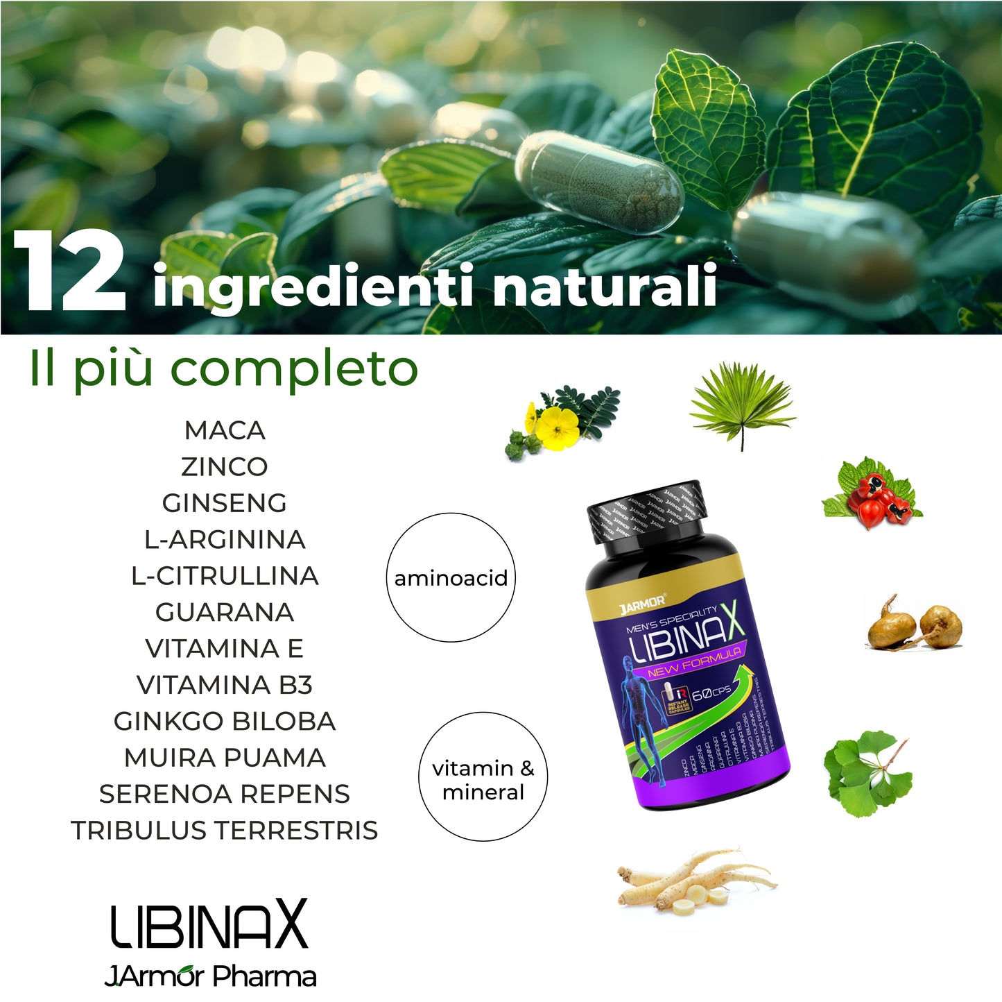 LibinaX (capsule)