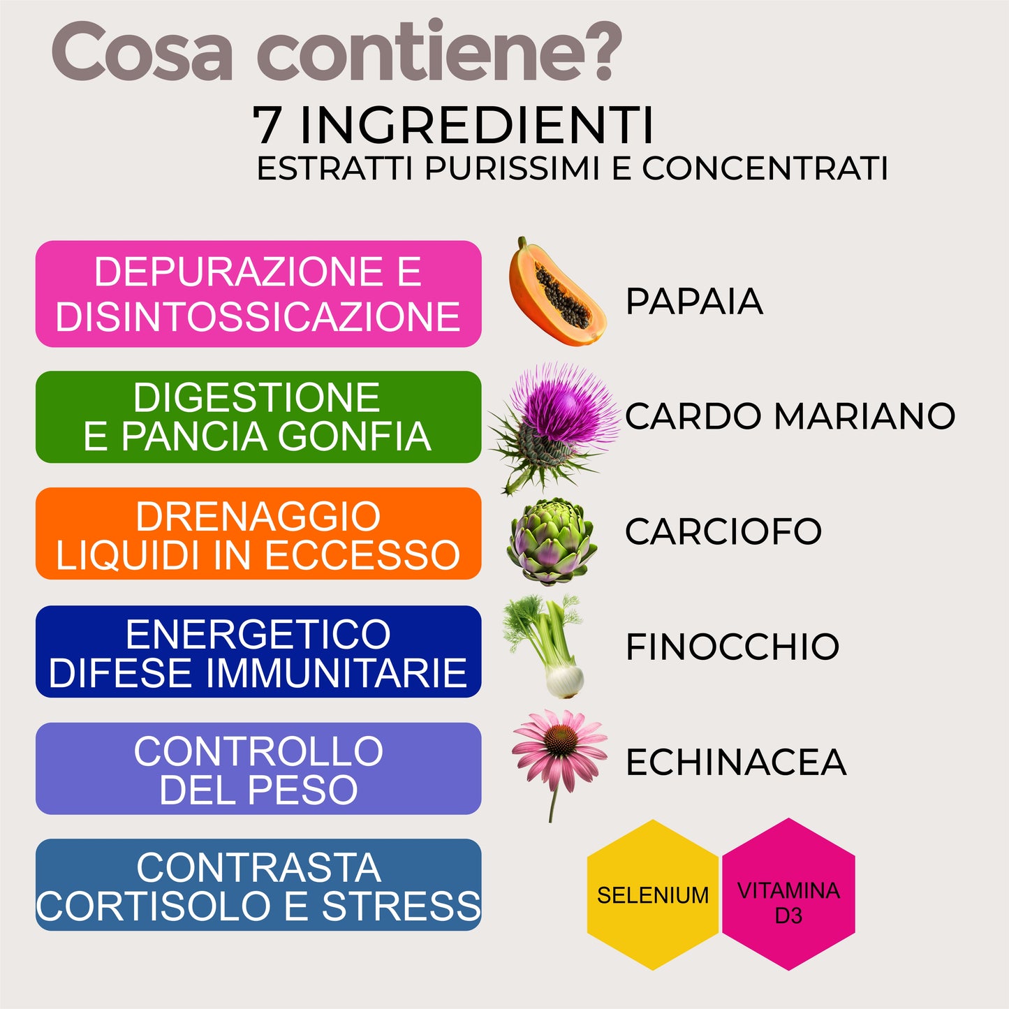 DETOX DEPUR - DEPURAZIONE CORPO (Capsule)