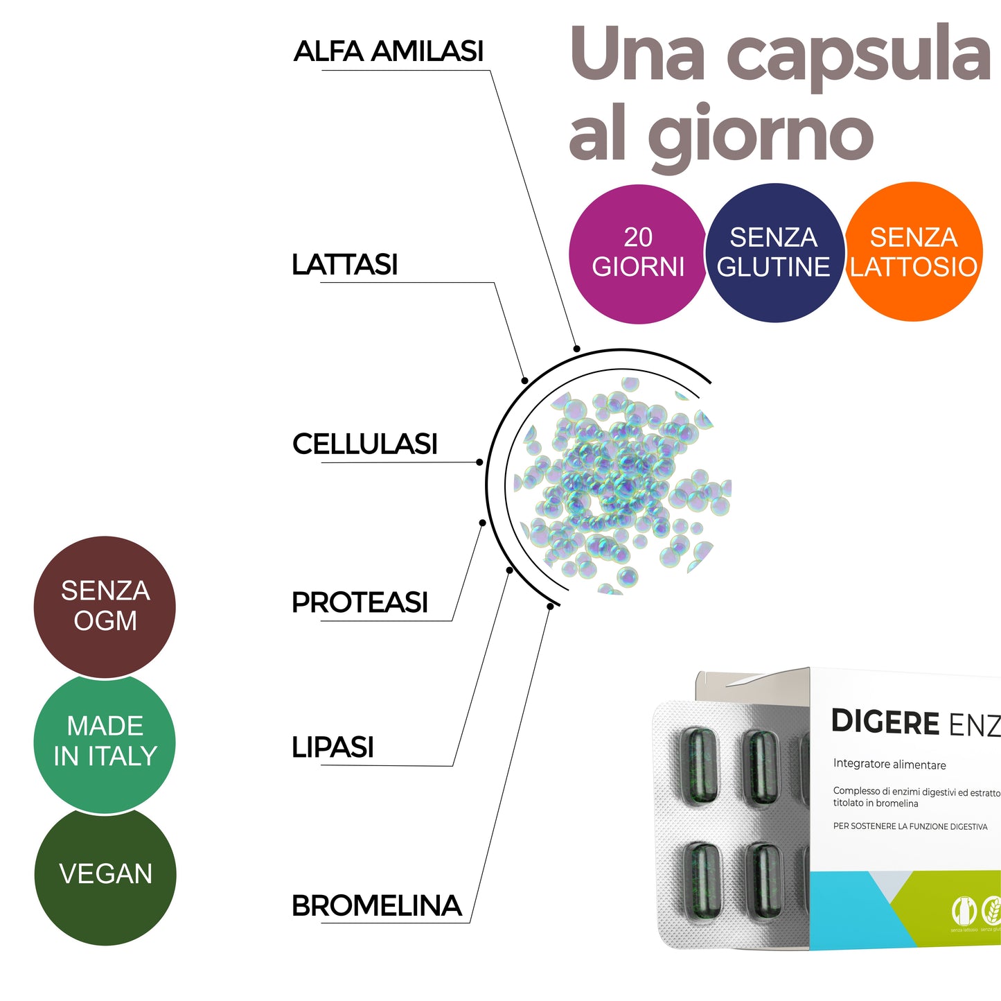 DIGERE ENZYMATIC - ENZIMI STOMACO INTESTINO (Capsule)
