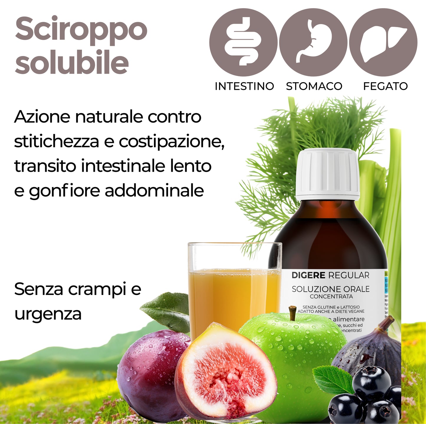 DIGERE REGULAR - DIGESTIONE REGOLARE (Soluzione Orale)