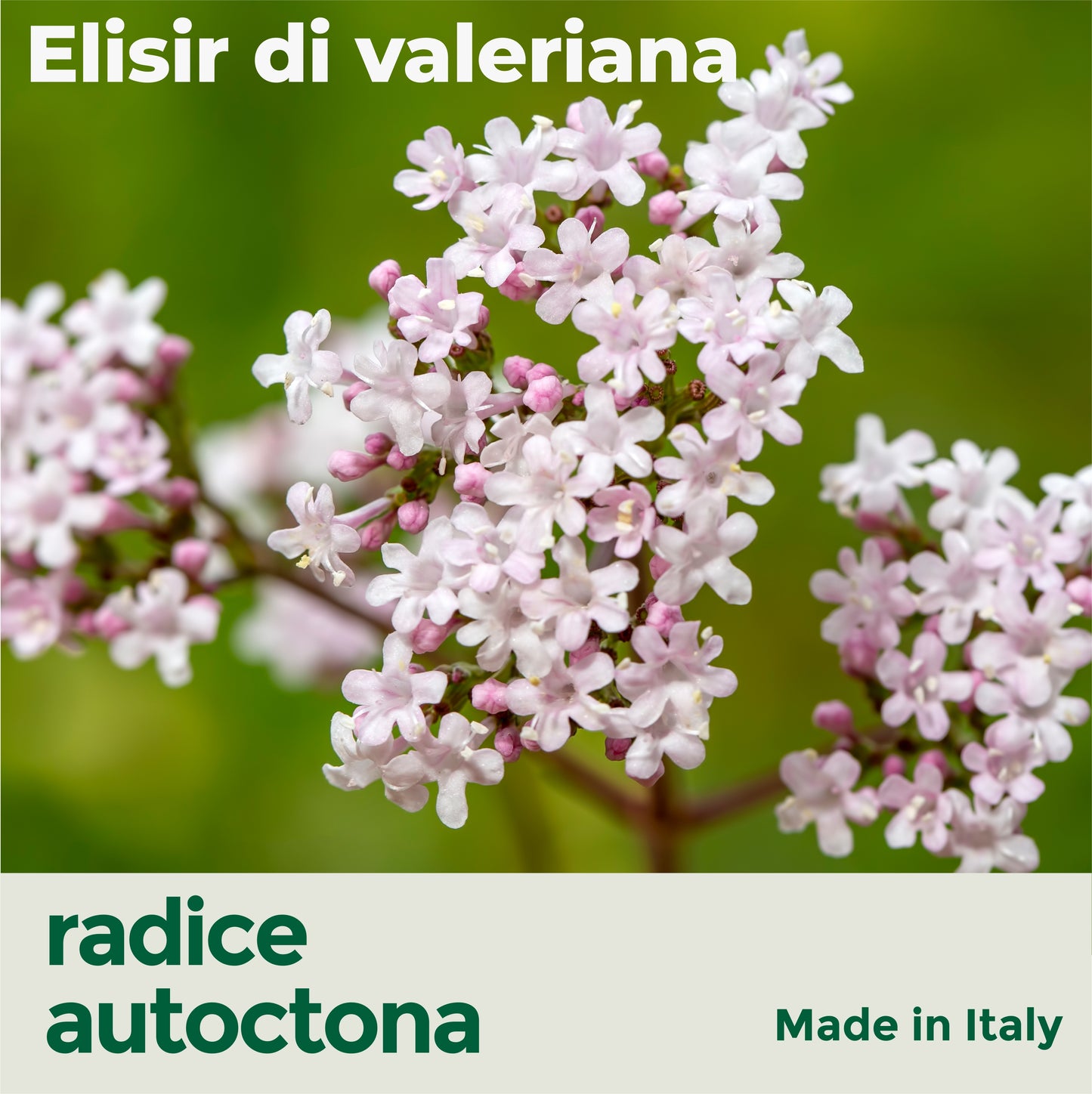 VALERIANA - STRESS, ANSIA E SONNO (Soluzione Gocce)