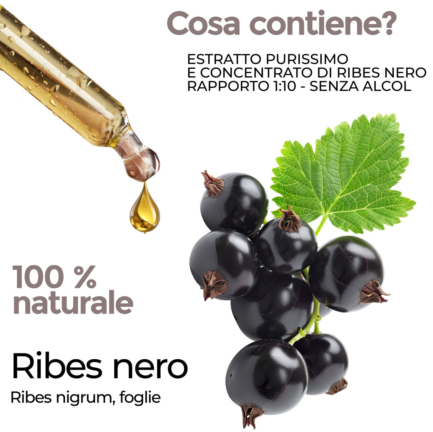 RIBES NERO - INFIAMMAZIONI SIST. IMMUNITARIO (Soluzione Gocce)