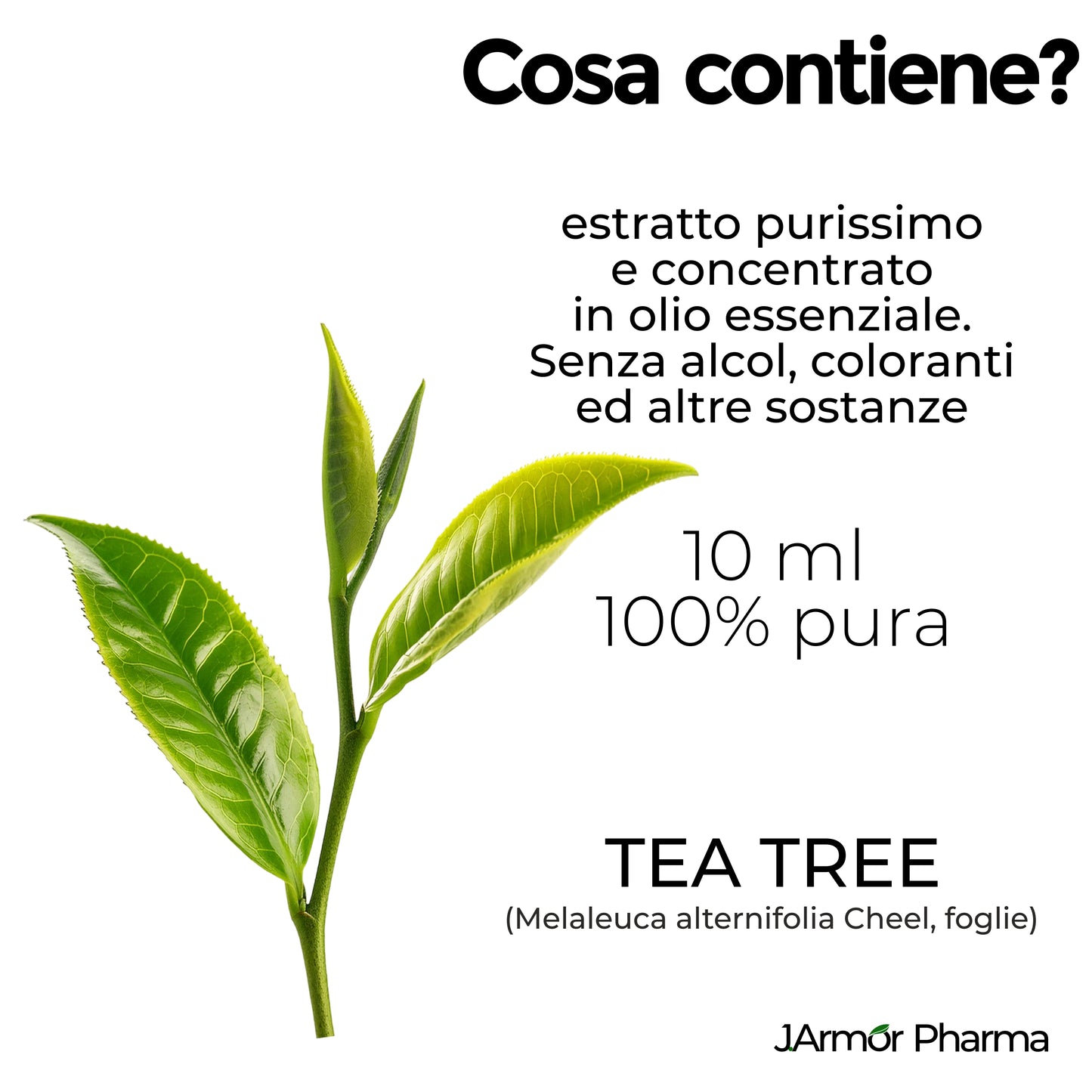 TEA TREE - MUCOLITICO E ANTIBATTERICO