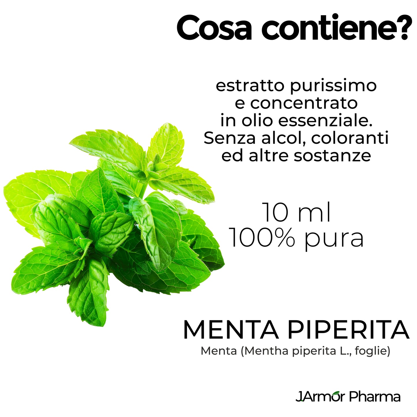MENTA PIPERITA - ANTIBATTERICO, ANSIA E MEMORIA