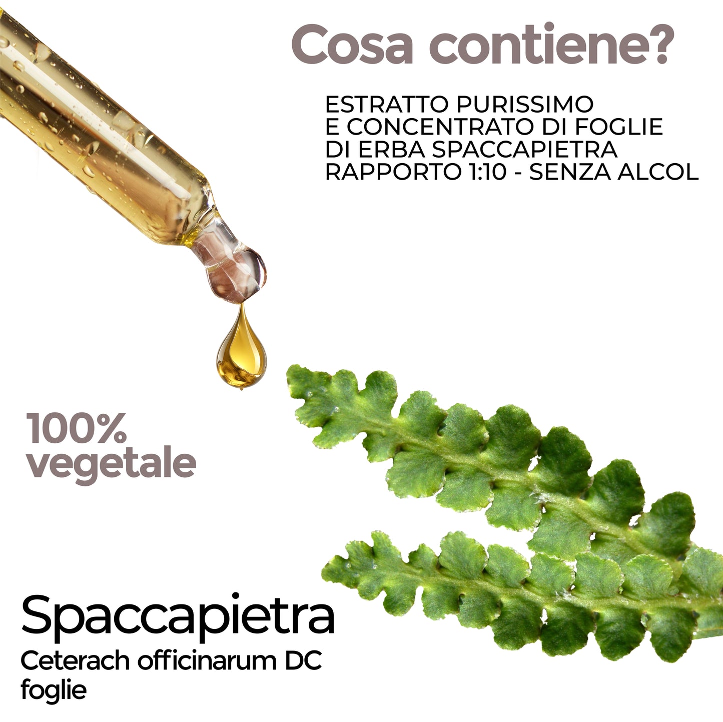 SPACCAPIETRA - DIURETICO STIPSI (Soluzione Gocce)