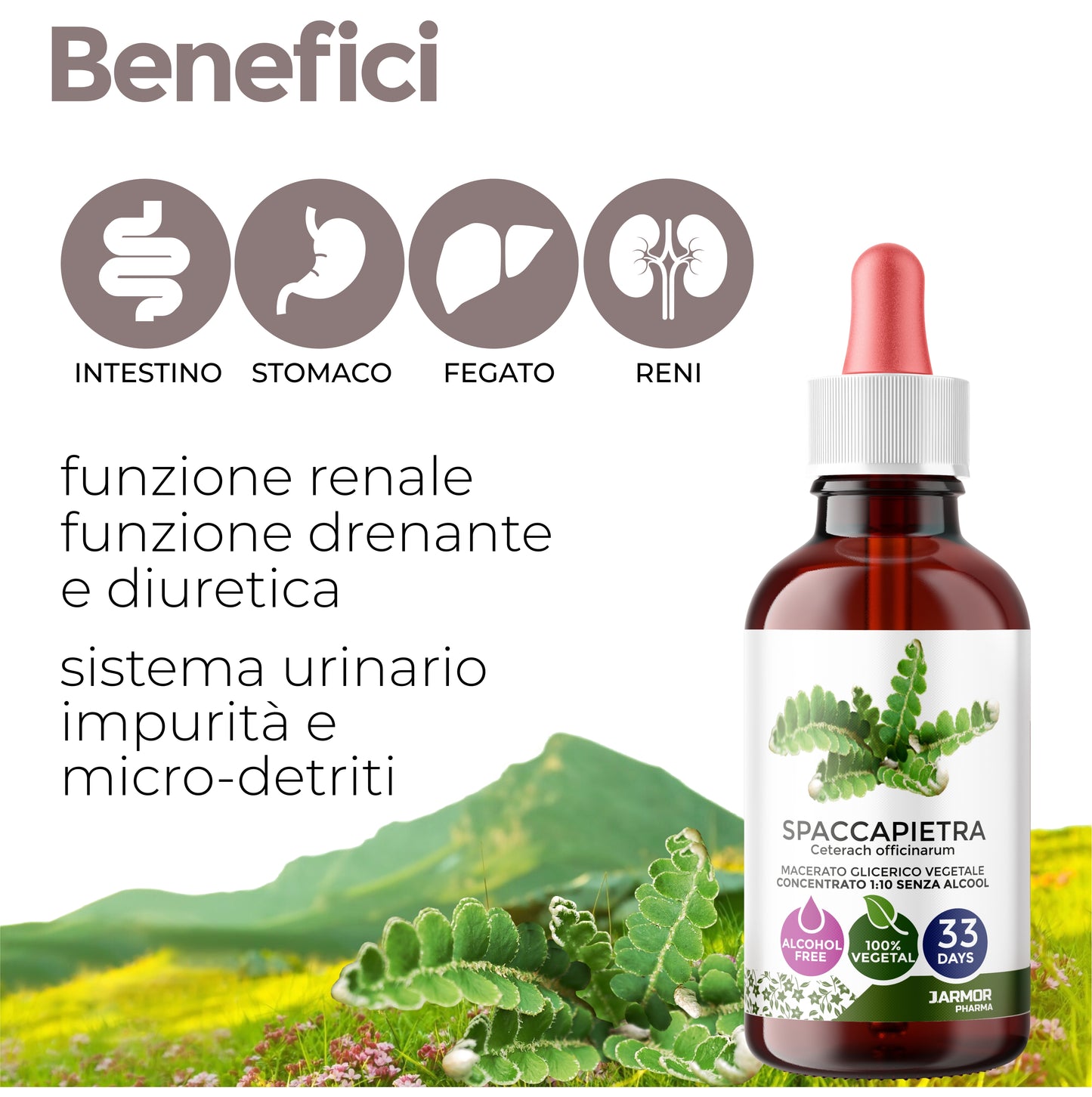 SPACCAPIETRA - DIURETICO STIPSI (Soluzione Gocce)