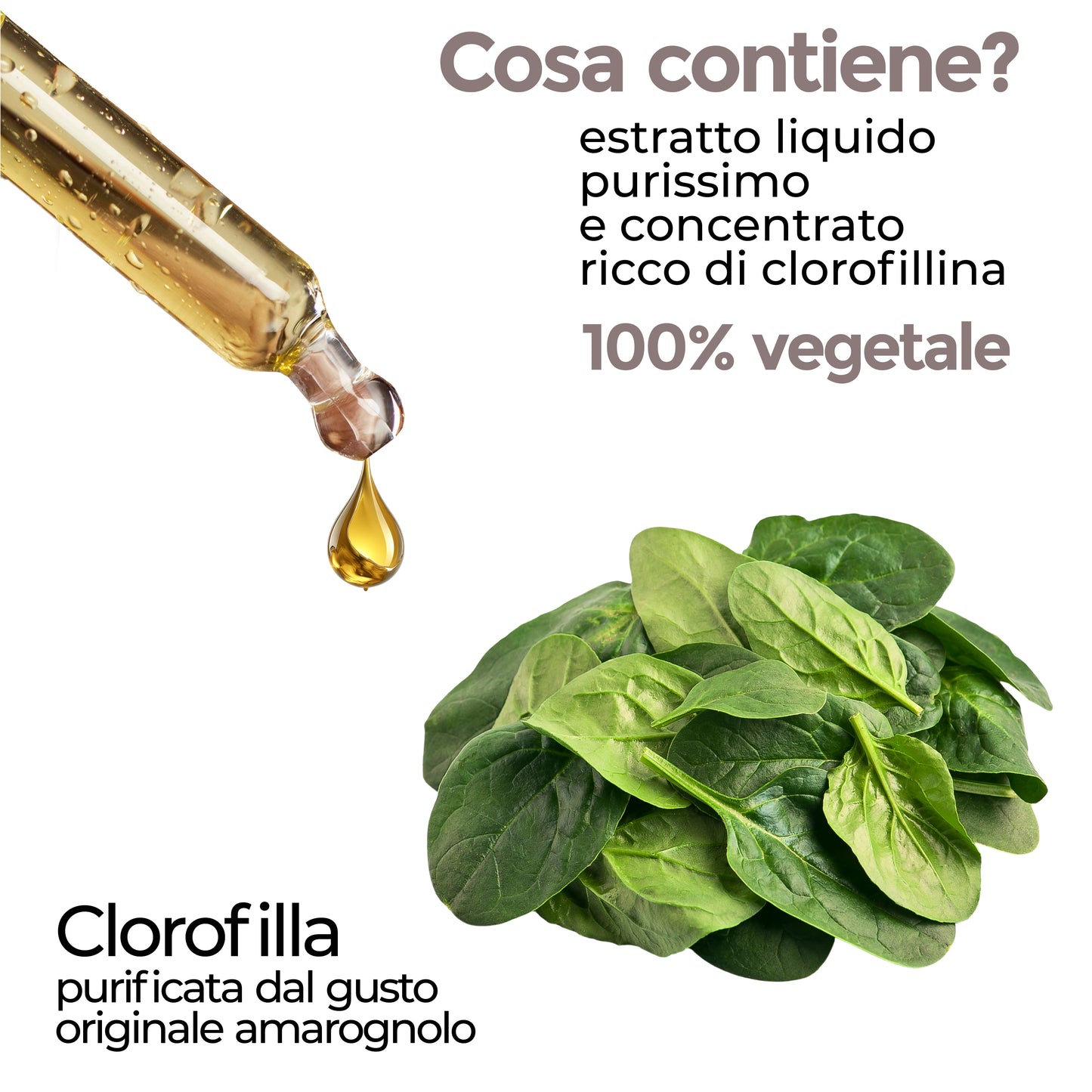 CLOROFILLA PURIFICATA - ANTIOSSIDANTE DISINTOSSICANTE (Soluzione Gocce)