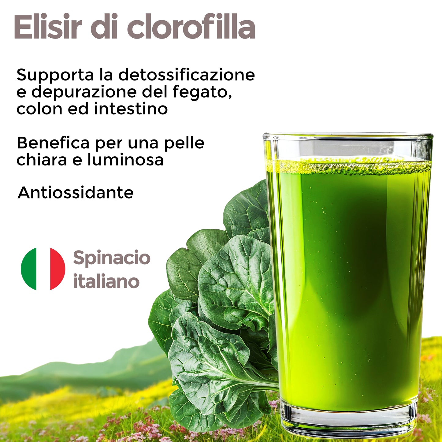 CLOROFILLA PURIFICATA - ANTIOSSIDANTE DISINTOSSICANTE (Soluzione Gocce)