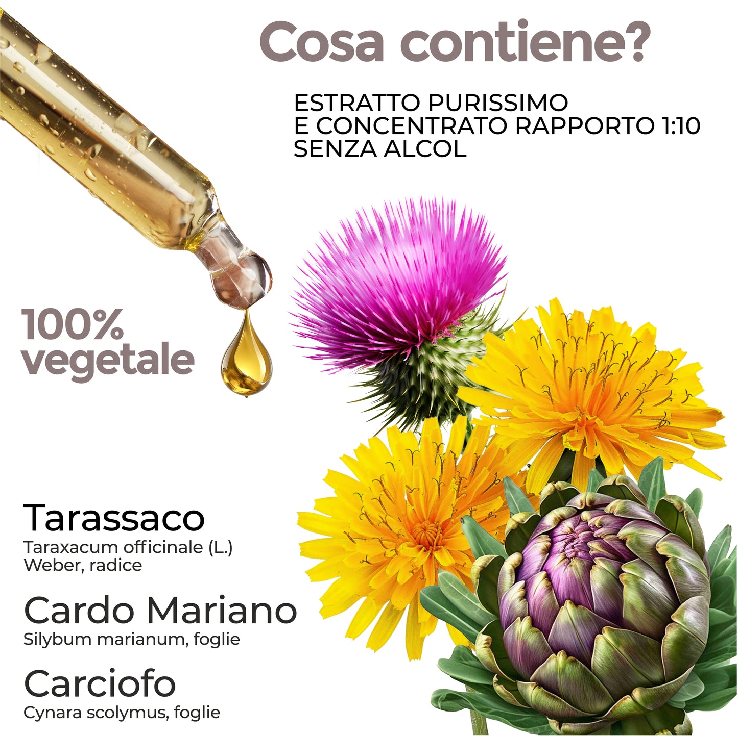 CARDO MARIANO TARASSACO E CARCIOFO - FEGATO, STOMACO E INTESTINO (Soluzione Gocce)