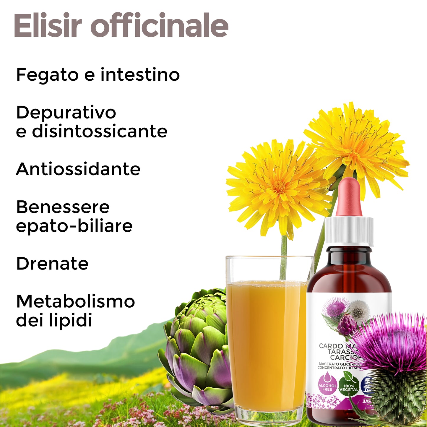 CARDO MARIANO TARASSACO E CARCIOFO - FEGATO, STOMACO E INTESTINO (Soluzione Gocce)