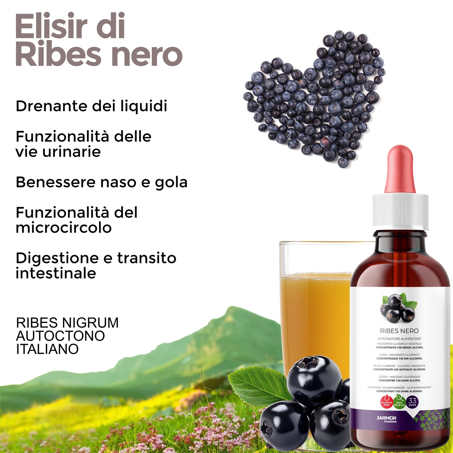 RIBES NERO - INFIAMMAZIONI SIST. IMMUNITARIO (Soluzione Gocce)